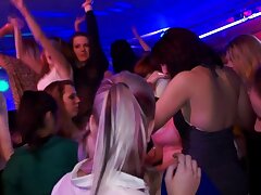 Babes partying se cumshots